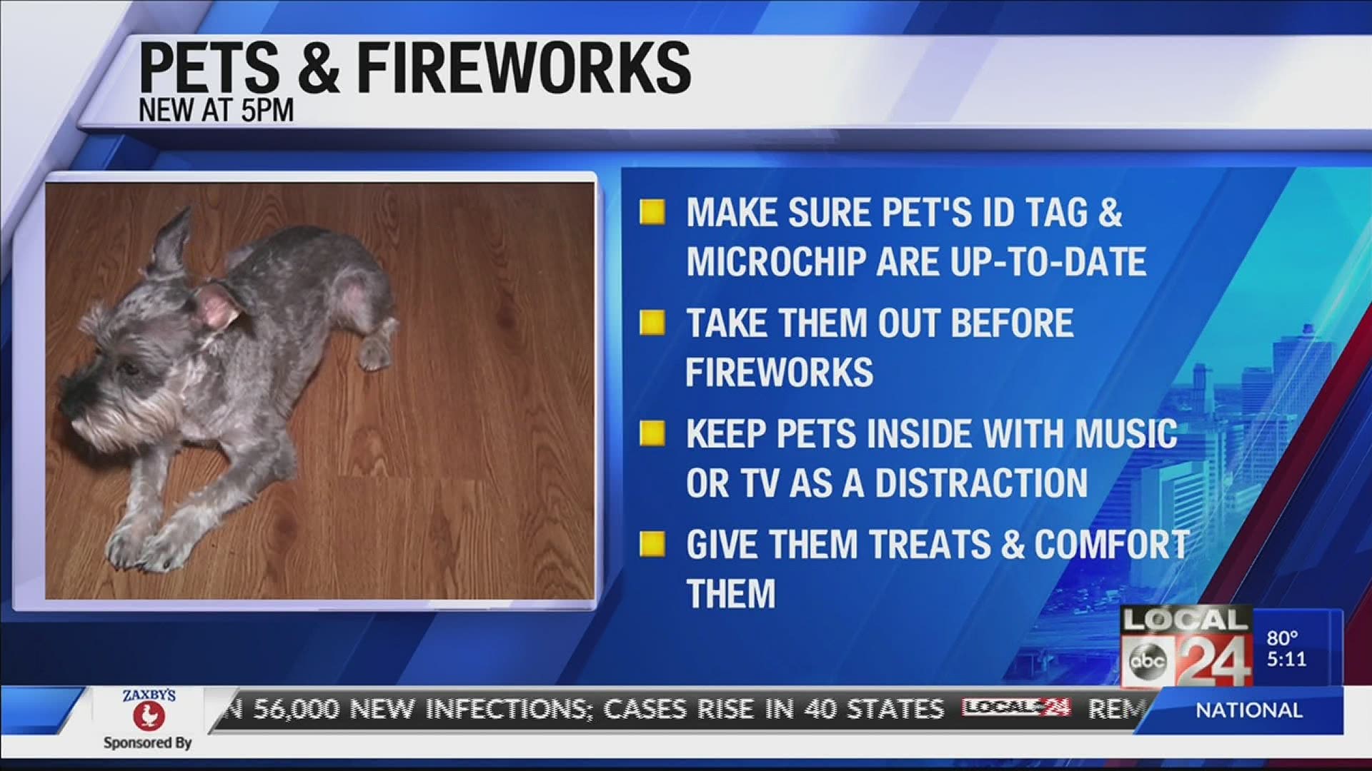 The high-pitched squeals, loud booms, and bright flashes from fireworks can send even the bravest dogs running