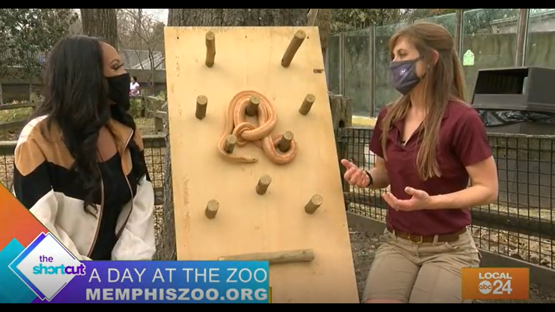 Calling all future Zoologists! If you're looking to gain some real life experience in a safe environment, check out what the Memphis Zoo has to offer. :)