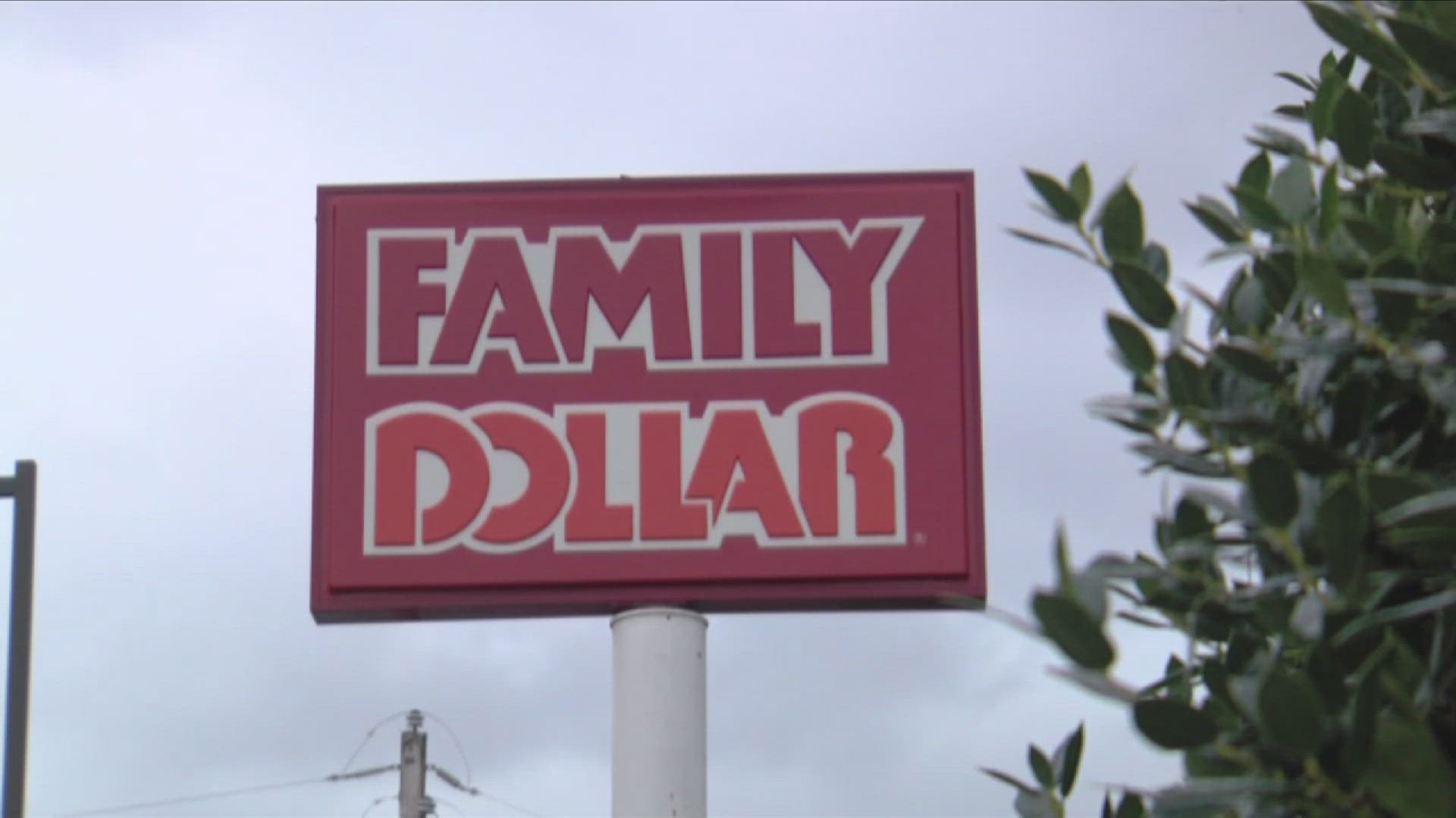 Earlier this year, a U.S. Attorney accepted a guilty plea from Family Dollar in a federal criminal case related to rat infestation.