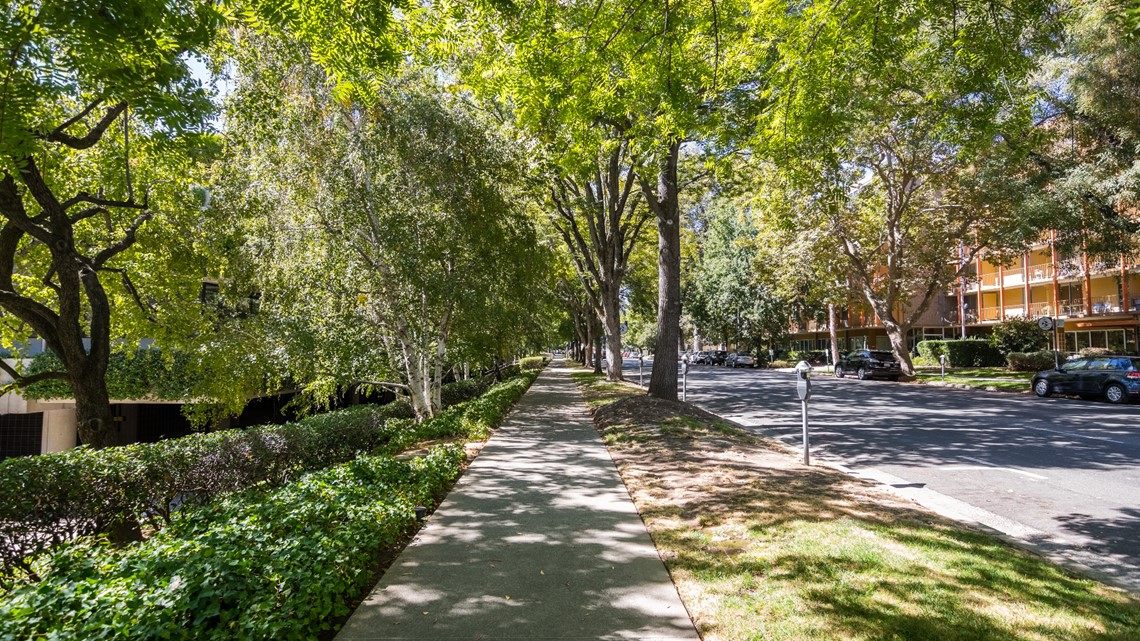 Here's how Germantown residents can get a free tree - Vimarsana News