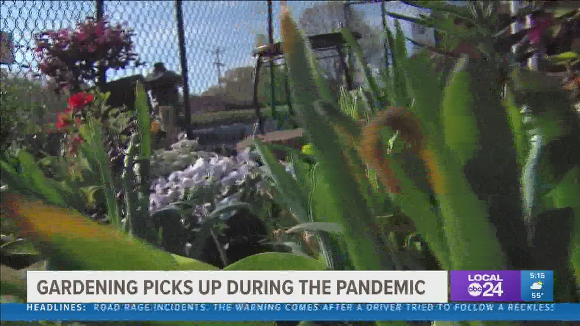 Many people picked up gardening as a hobby during the pandemic. As things open up, they plan to continue spending time in the garden.