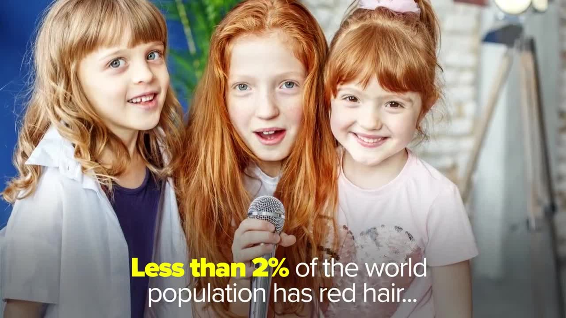 St fjols Amerika Love Your Red Hair Day is on November 5! Here are 12 fun facts about red  hair | localmemphis.com