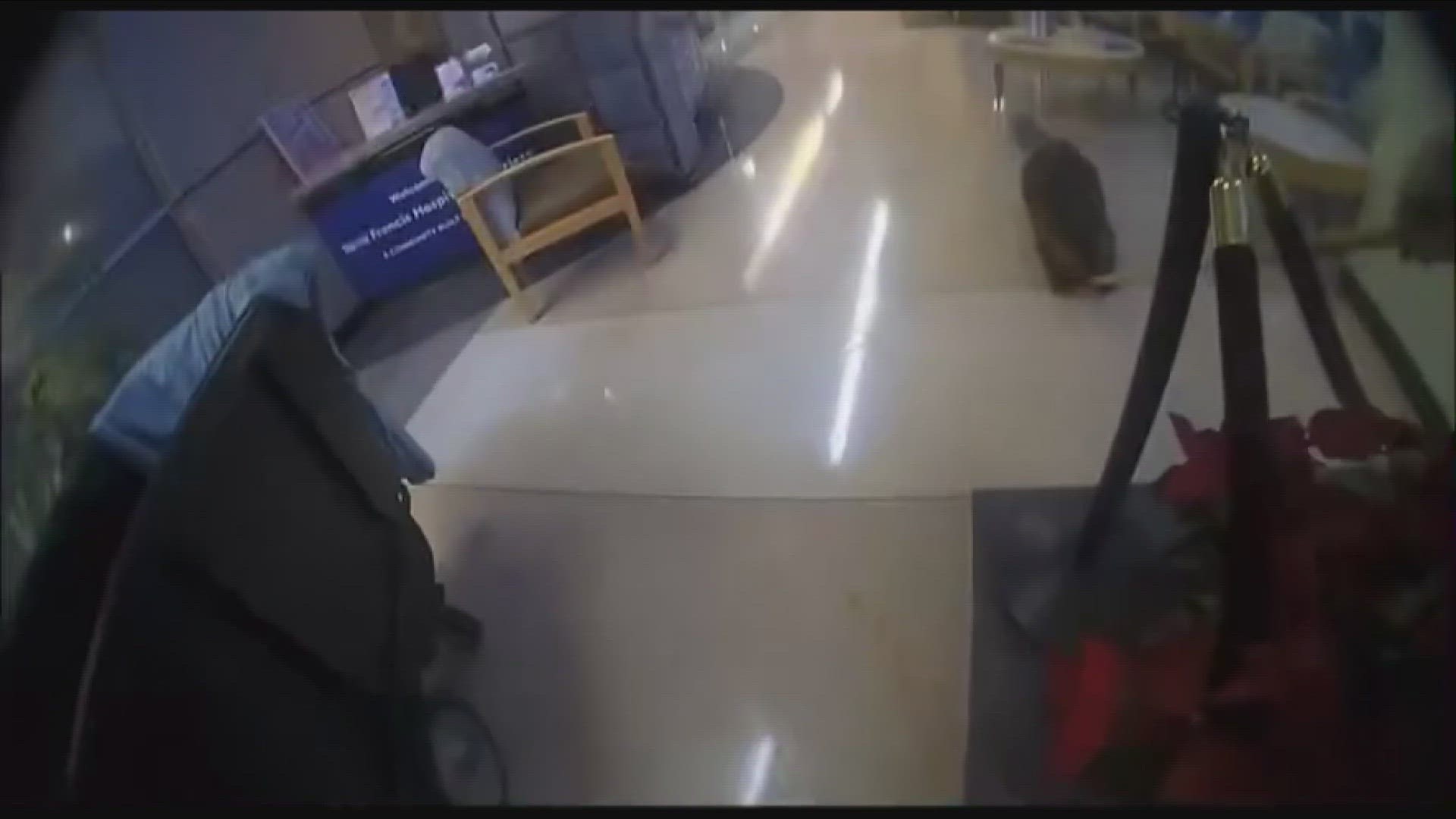On Christmas morning, Bartlett Police received a call regarding a beaver roaming around inside of Saint Francis Hospital.