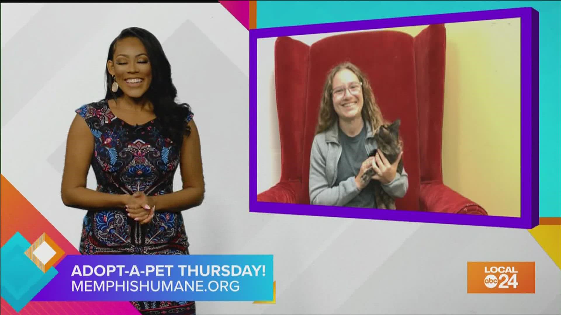Thinking about adopting or fostering a Memphis Humane Society pet? Join host Sydney Neely and guest star Sarah Sisken for more info! Only on "The Shortcut!"