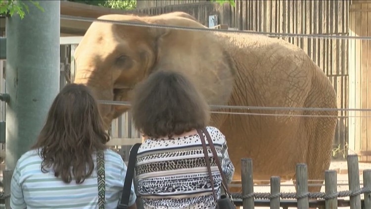 Saturday is 'Baby Day' at The Memphis Zoo