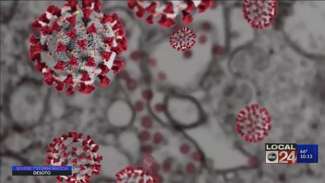 antigen antibody COVID19 coronavirus tests