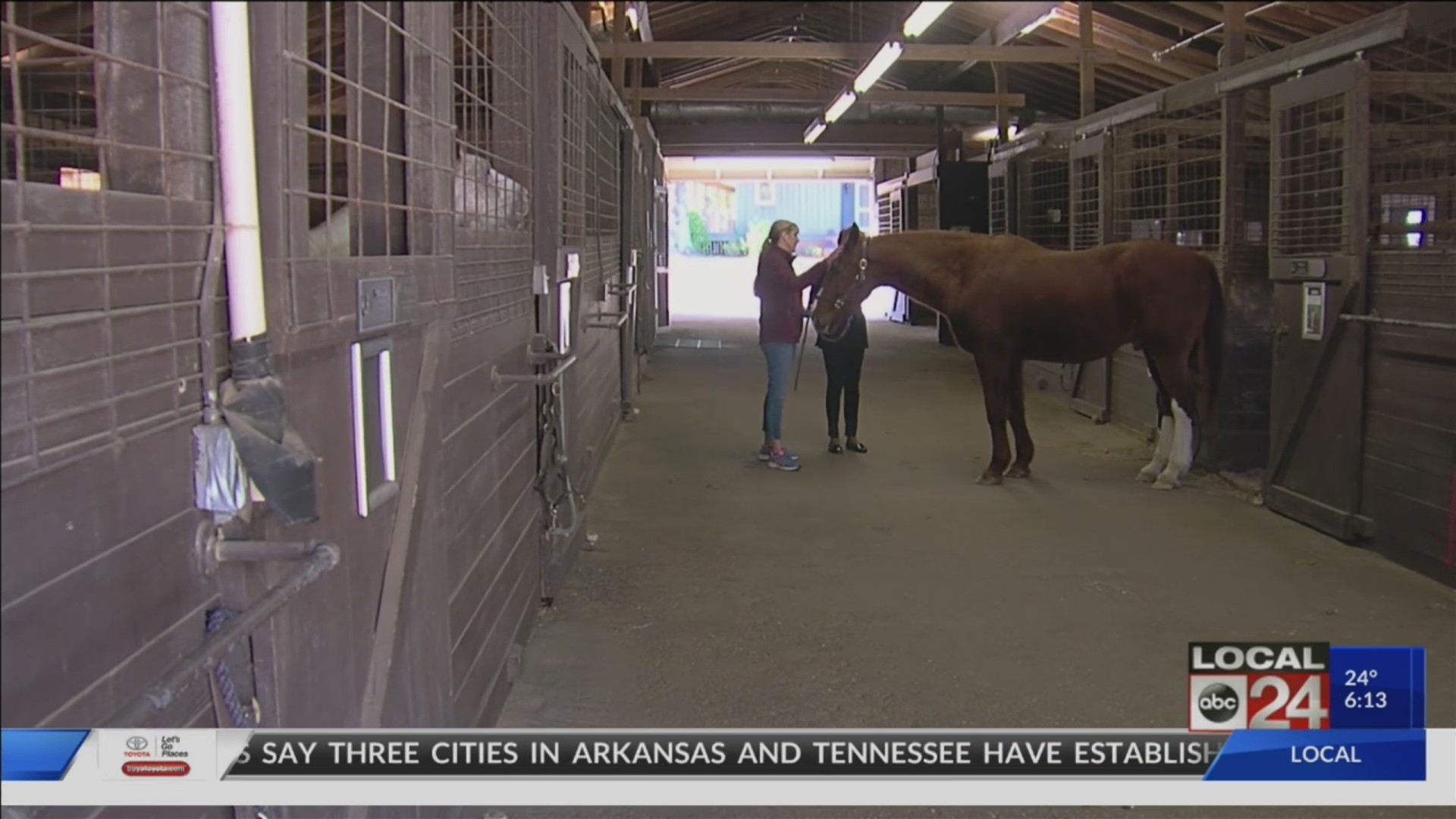 Saddle Up: How Southern Reins is using horses to help the disabled in the Mid-South