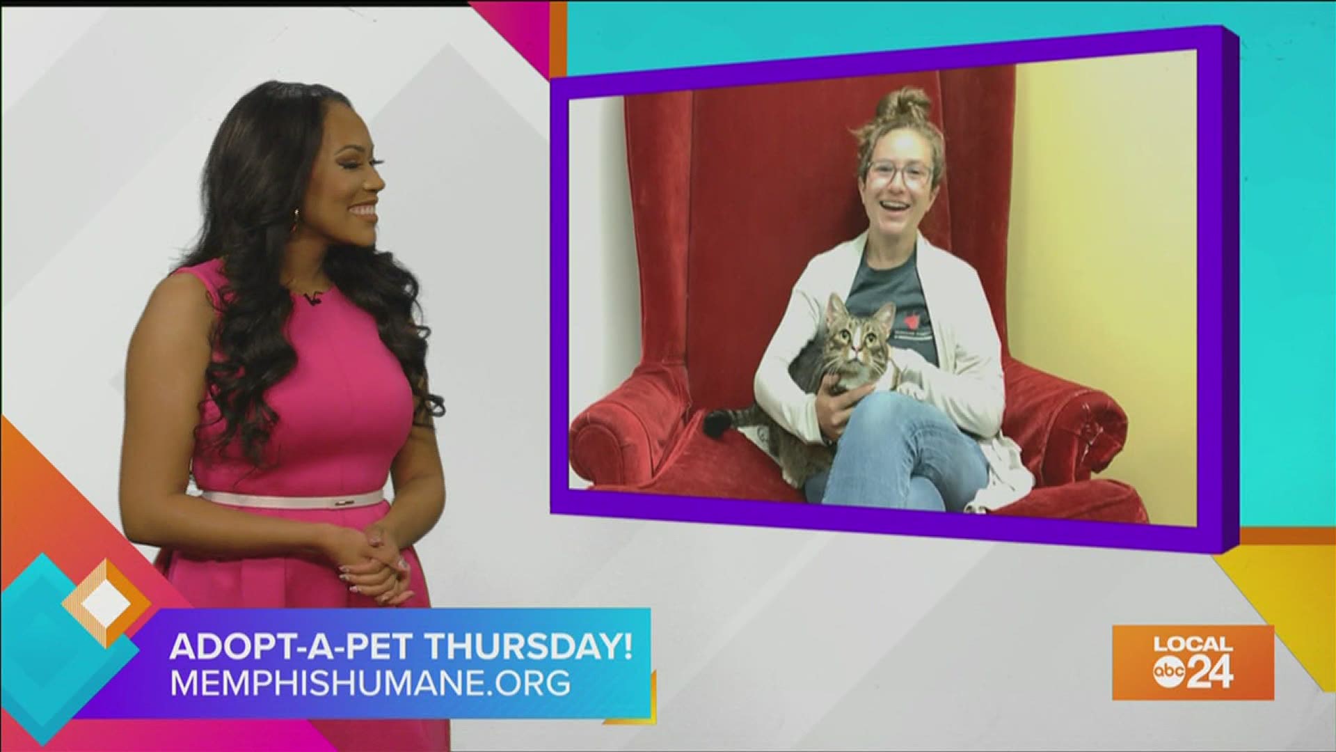 Whether you're looking to adopt a furry friend or help out those in need, check out what the Memphis Humane Society has to offer! :)