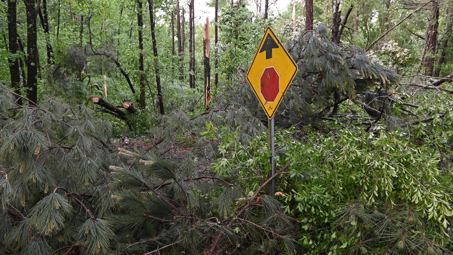 Tornadoes cause damage in parts of Mississippi | localmemphis.com