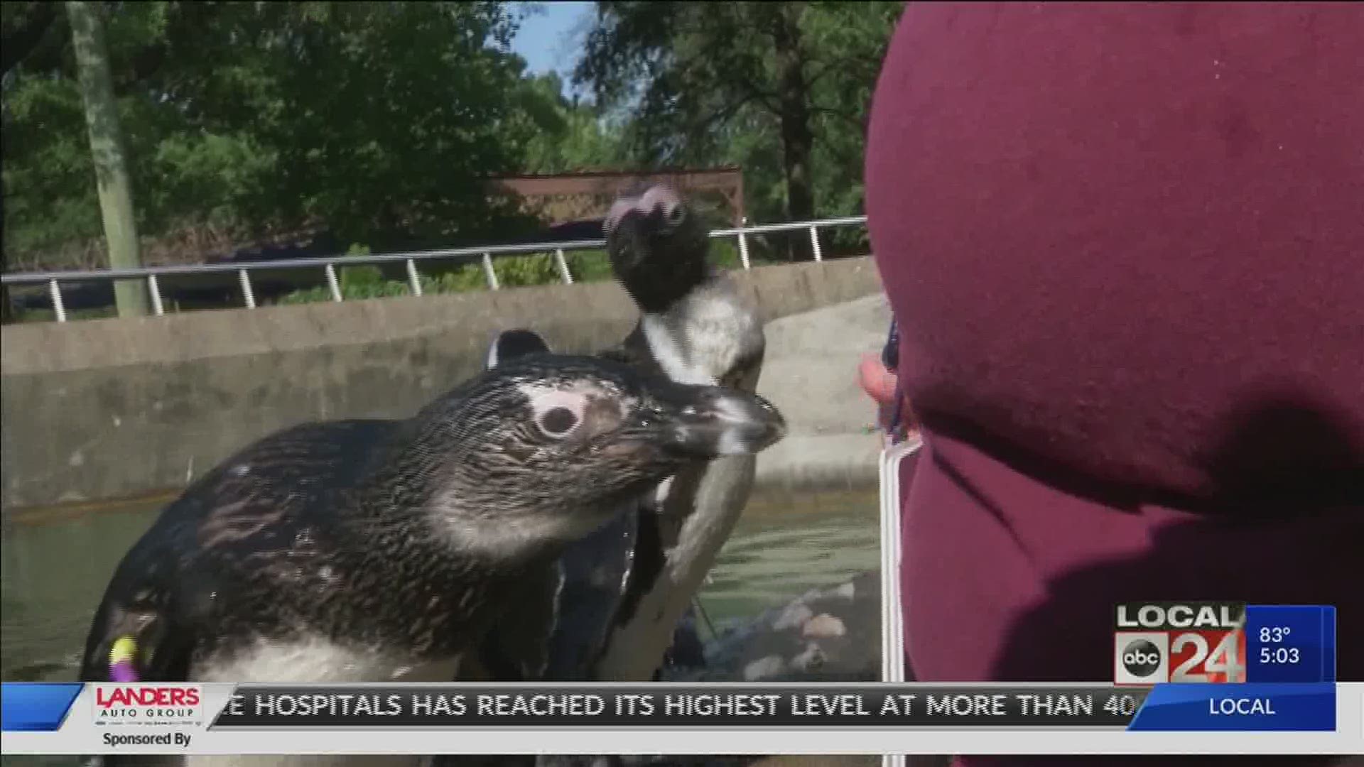 The bill allows for sales during regular business hours at the zoo.