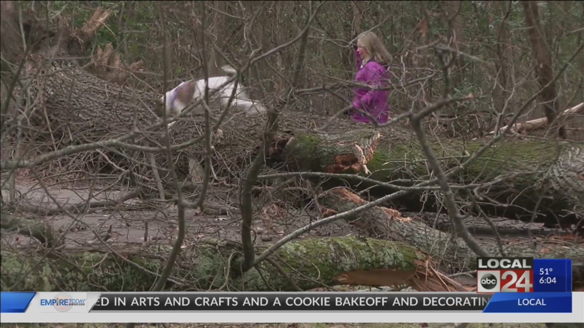 Overton Park Conservancy is asking for donations to help pay cost of cleanup after weekend storms