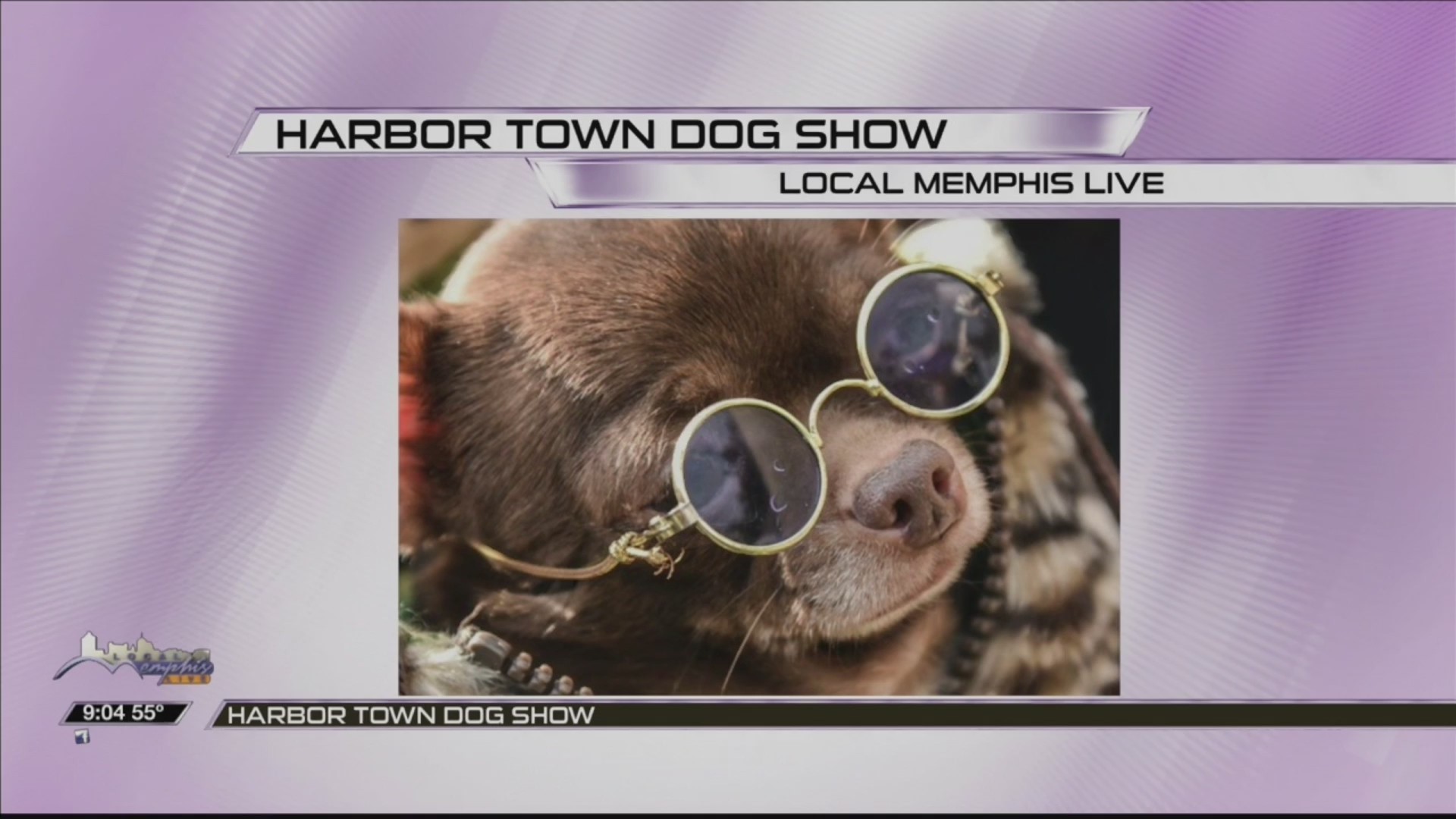 HARBOR TOWN DOG SHOW
