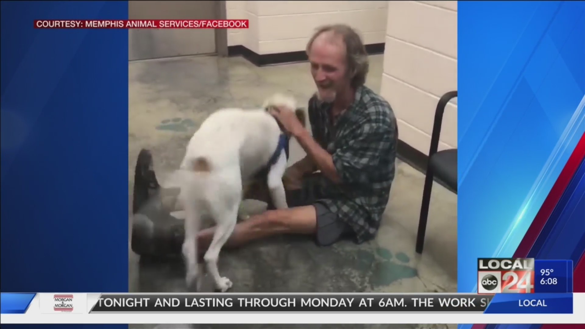 WATCH: Video of Memphis homeless man reunited with lost dog goes viral ...