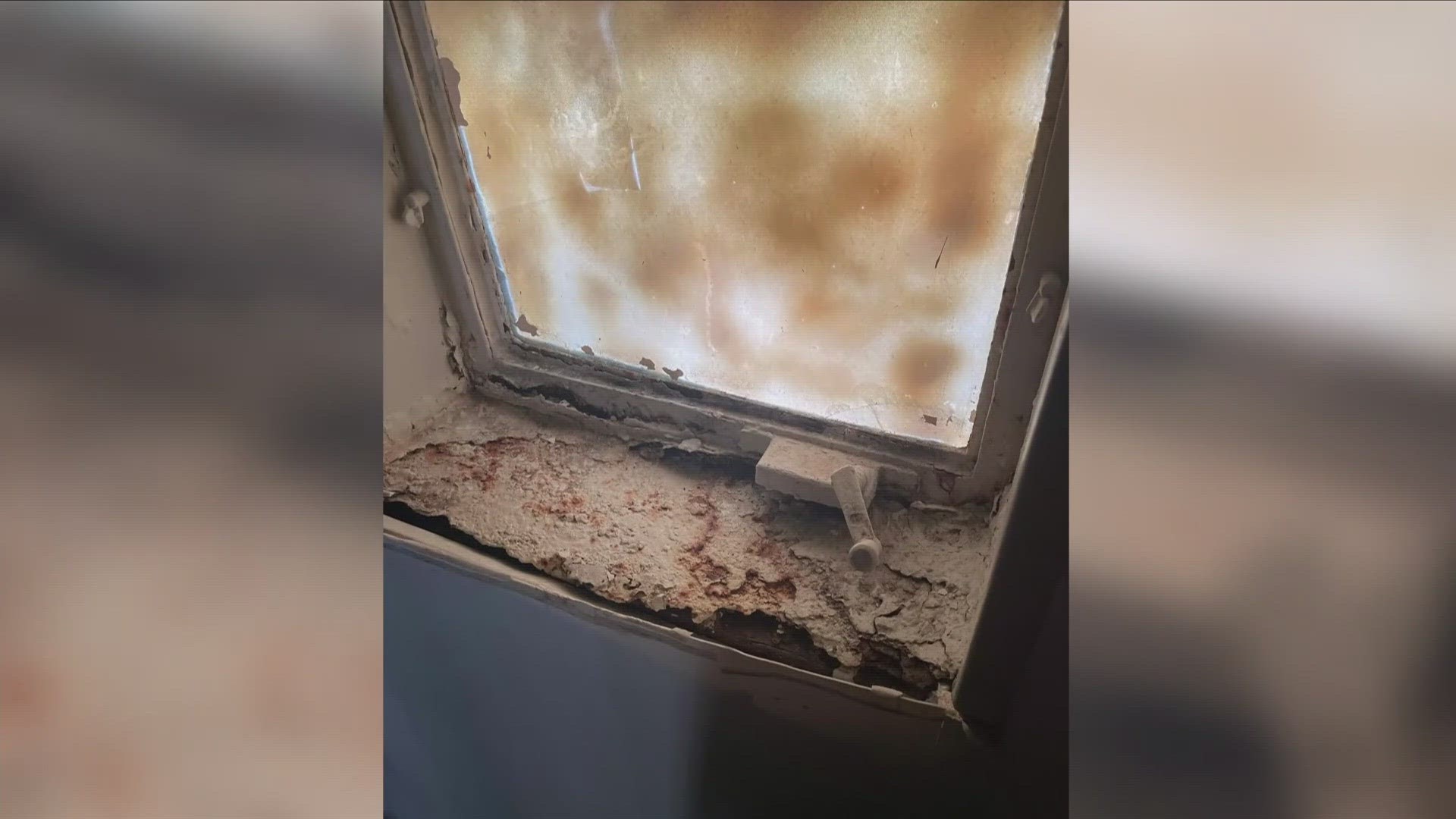 A Memphis renter said Revid Property Management is unresponsive to her issues, including mold, faulty wiring and a leaky roof.