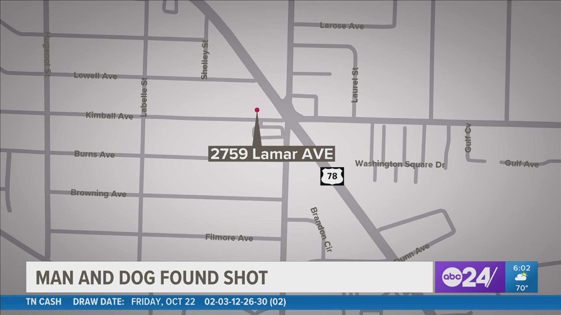 A man was injured and his dog killed in a shooting Monday morning in Orange Mound.