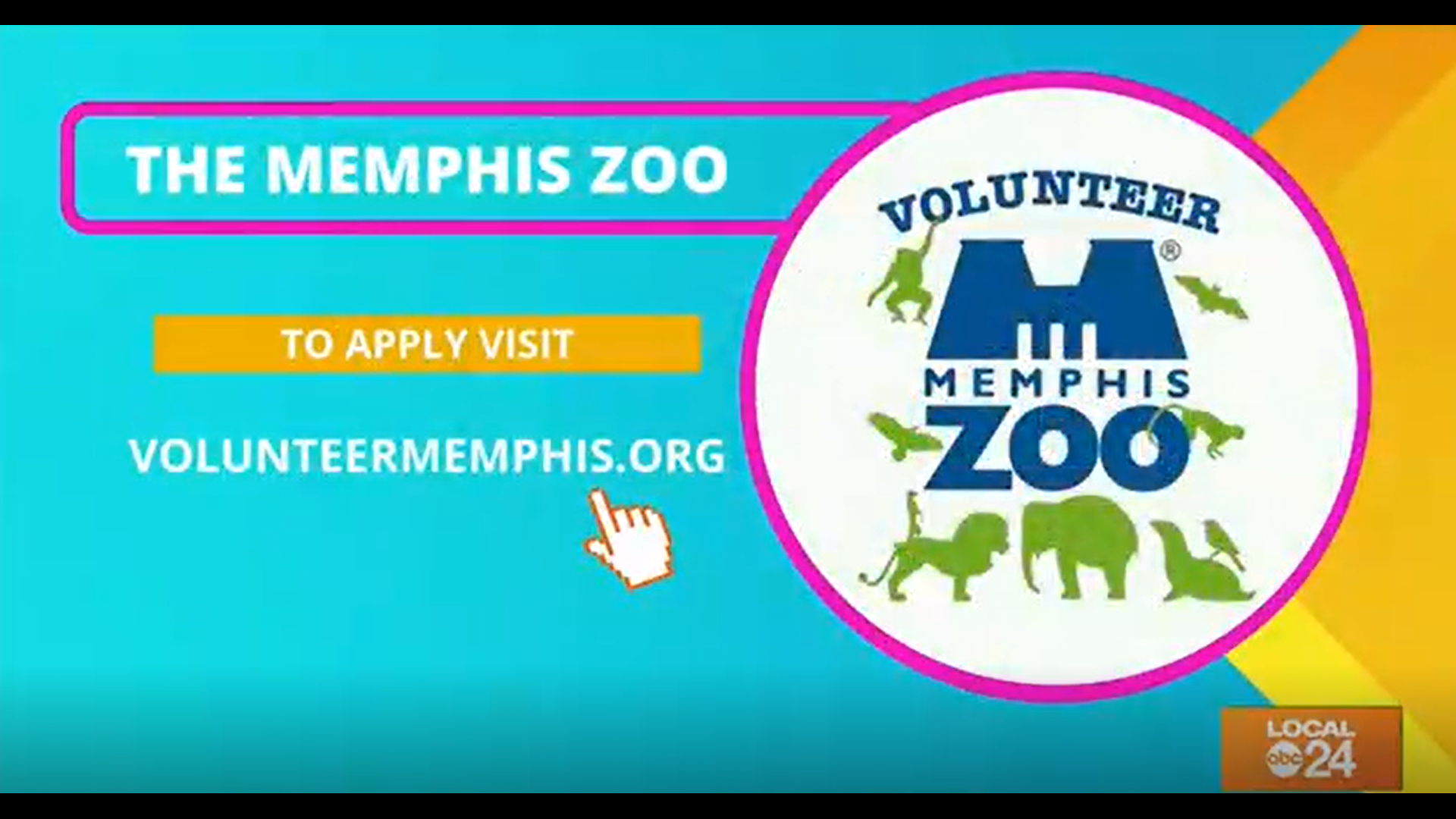 Calling all Memphis animal lovers! If you're looking to give back to the community and gain real life experience, check out what the Memphis Zoo has to offer!
