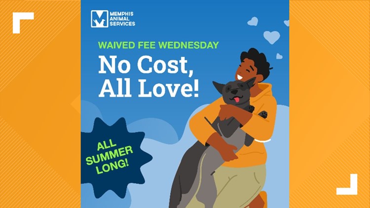 Memphis Animal Services waiving adoption fees on Wednesdays this summer
