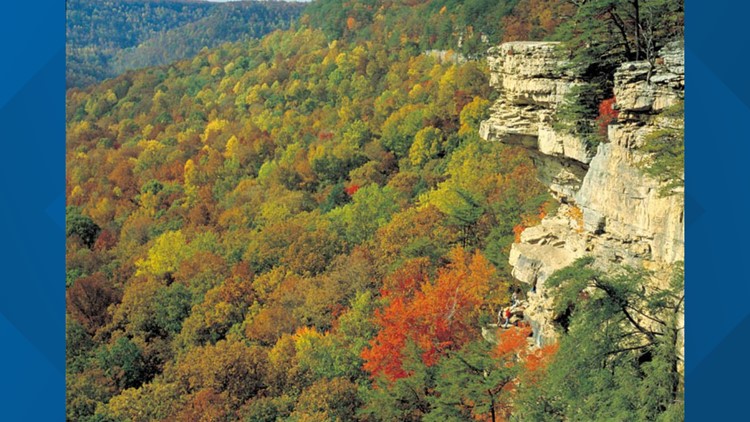 There's a new state park in Tennessee: Savage Gulf State Park