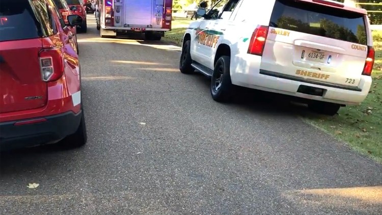 Infant, 2-year-old killed after family dogs attack in West Tennessee home