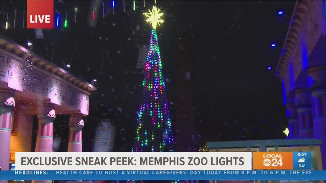 can i take my dogs to zoo lights memphis