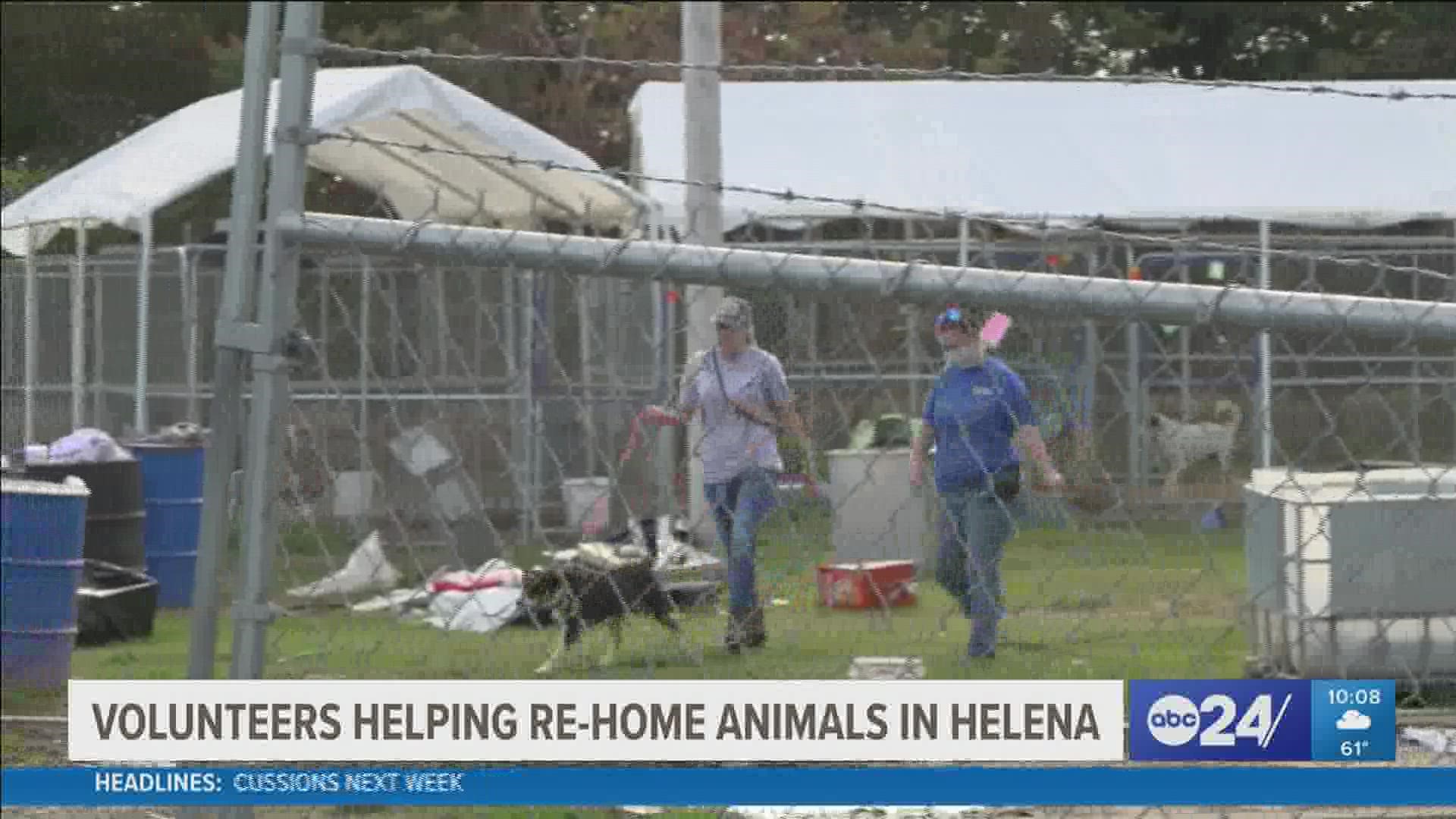 The shelter was shut down after the animals were found living in filthy conditions.