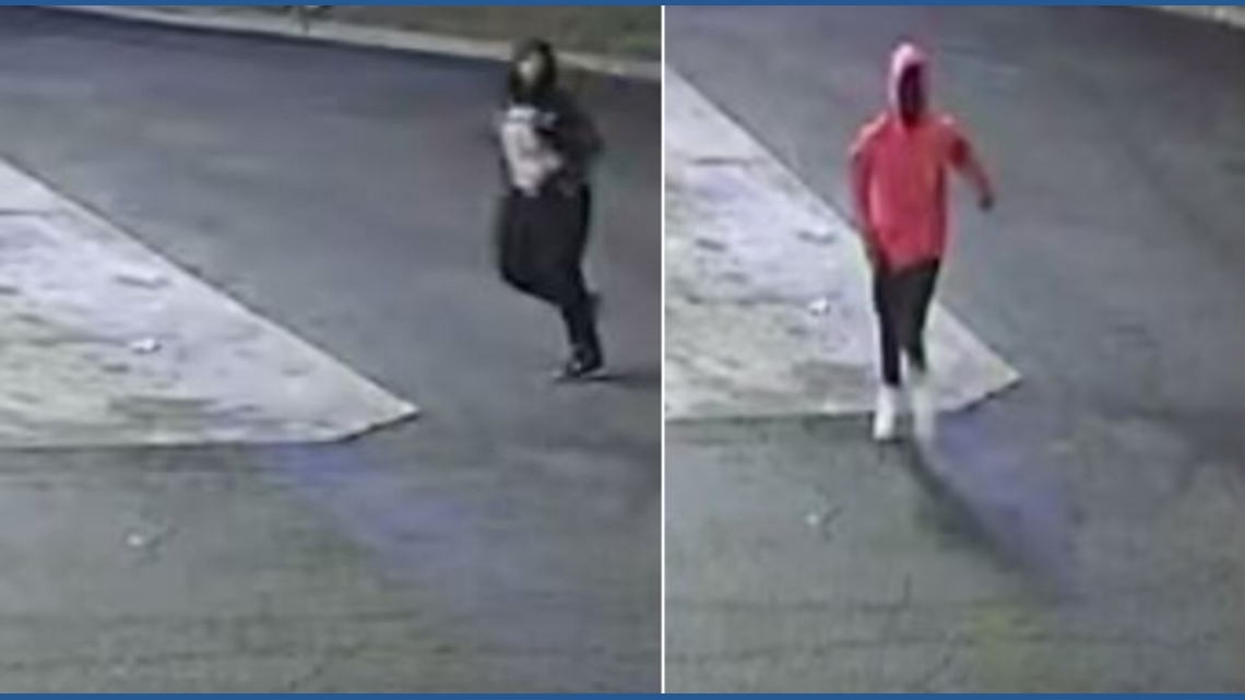 Shelby Co Court Clerk Wanda Halbert to stay in office localmemphis com Shelby Co Court Clerk Wanda Halbert to stay in office localmemphis com