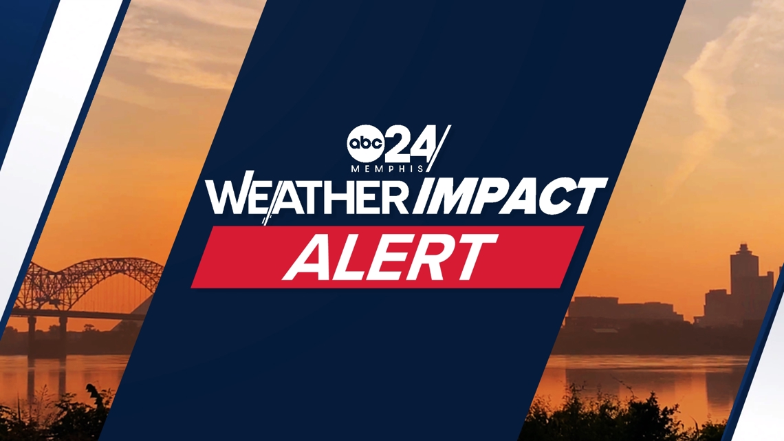 Shelby Co Court Clerk Wanda Halbert to stay in office localmemphis com Shelby Co Court Clerk Wanda Halbert to stay in office localmemphis com