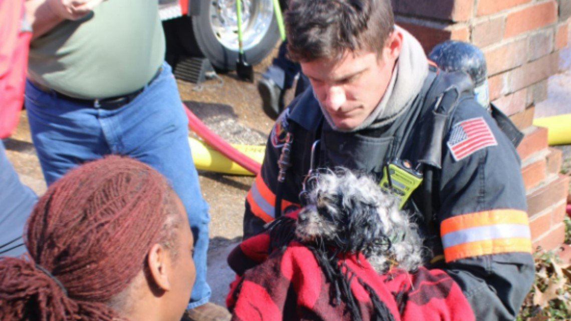 Dog reunites with firefighters who saved him from burning house ...