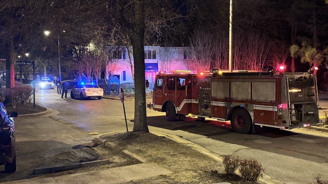 Woman seriously injured after shooting in Whitehaven - Vimarsana News