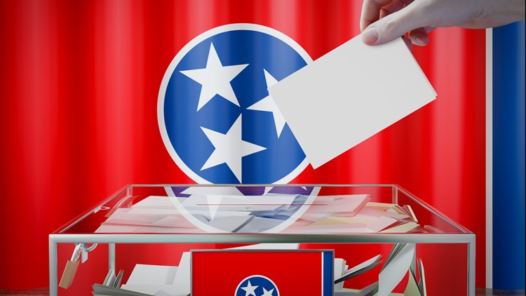 There are 4 proposed amendments to the TN Constitution on the November ballot. Here's what voters need to know