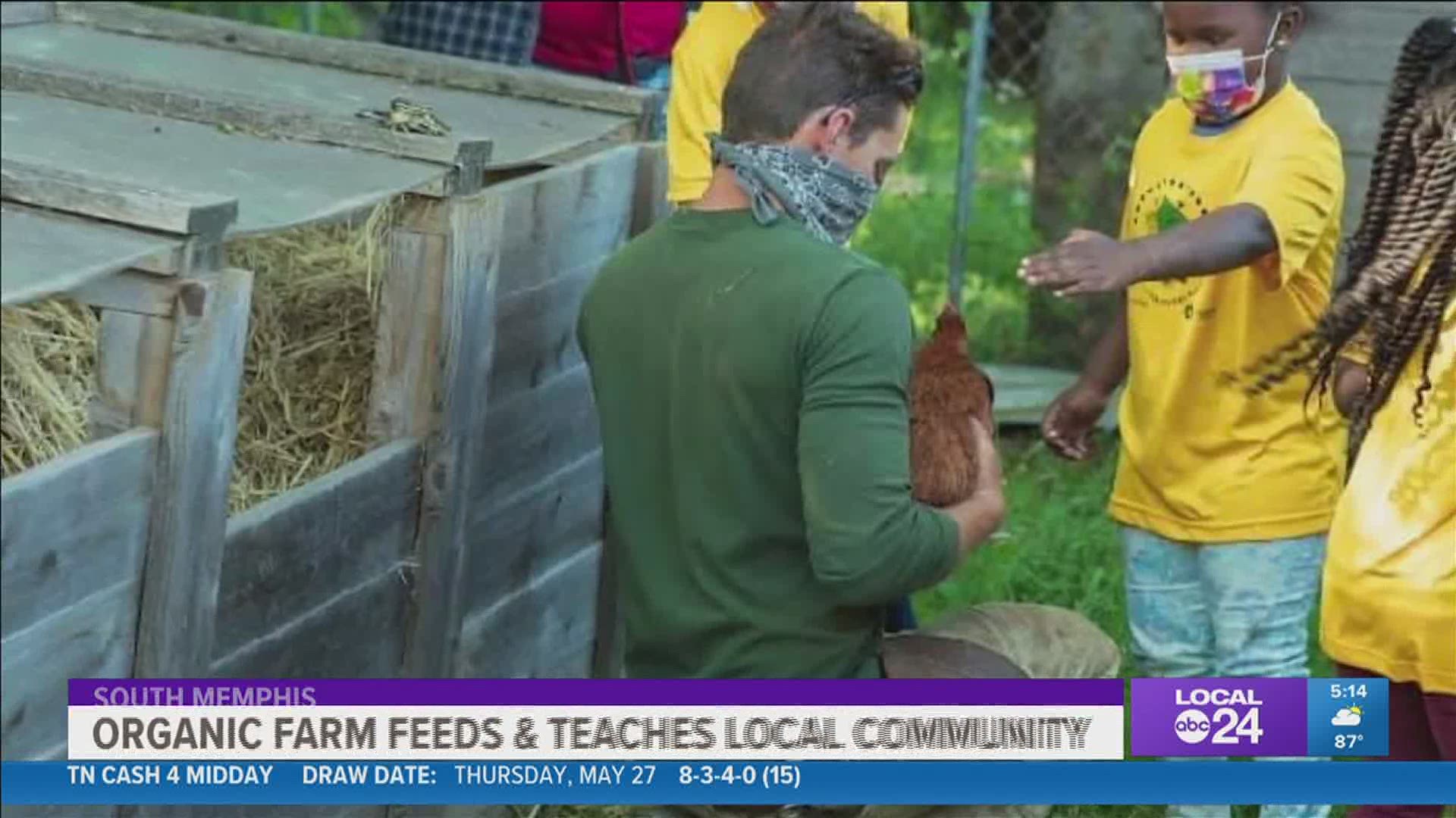A hidden gem, the Green Leaf Learning Farm was started to support the nutritional needs or the community where healthy food options are limited.