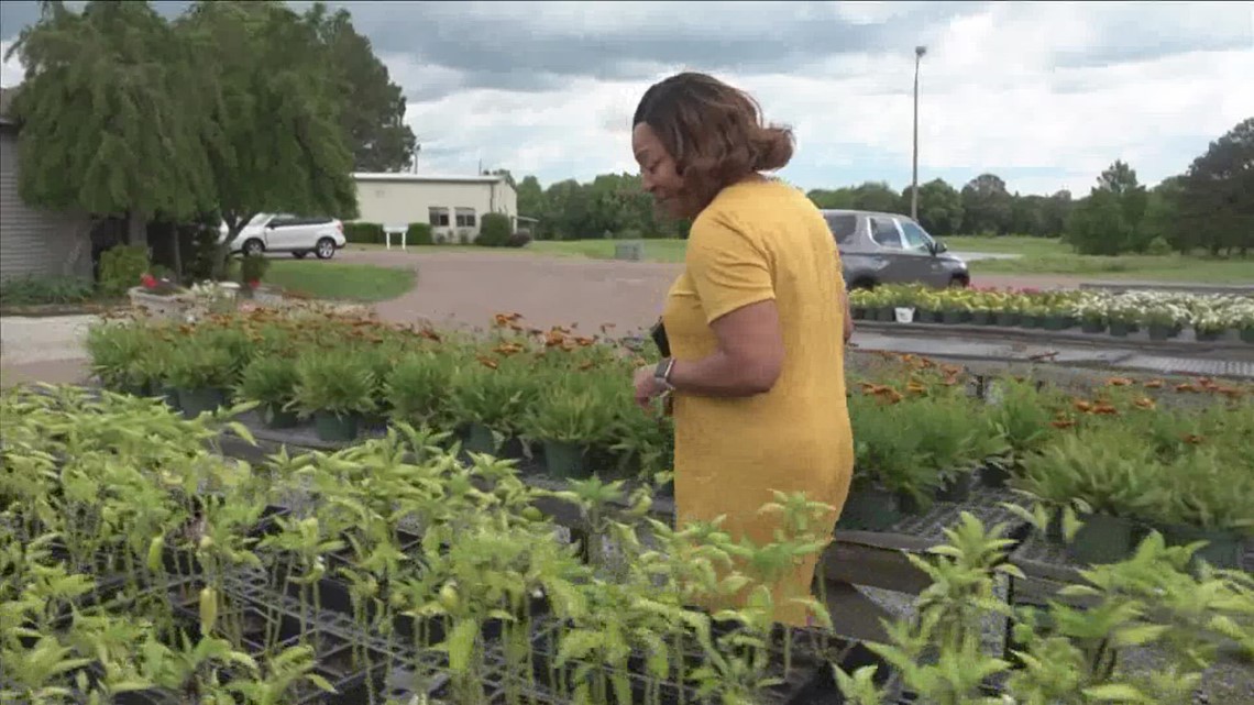 How a Mississippi gardening center wants to help you bloom
