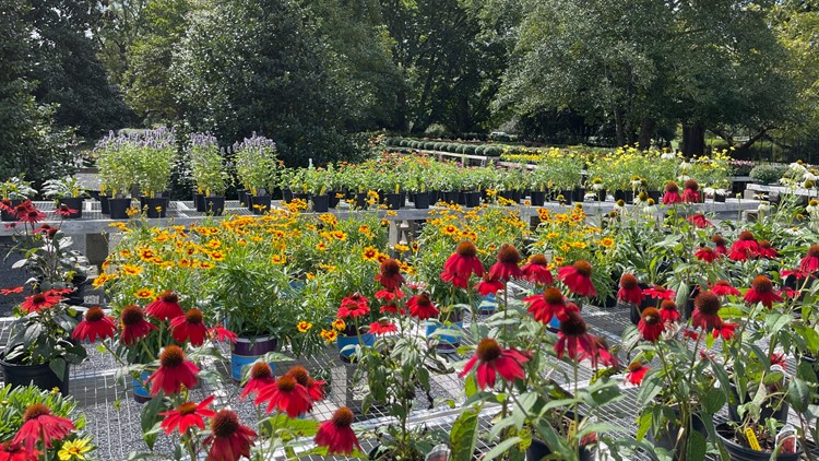 Fall Plant Sale at the Memphis Botanic Garden set for October