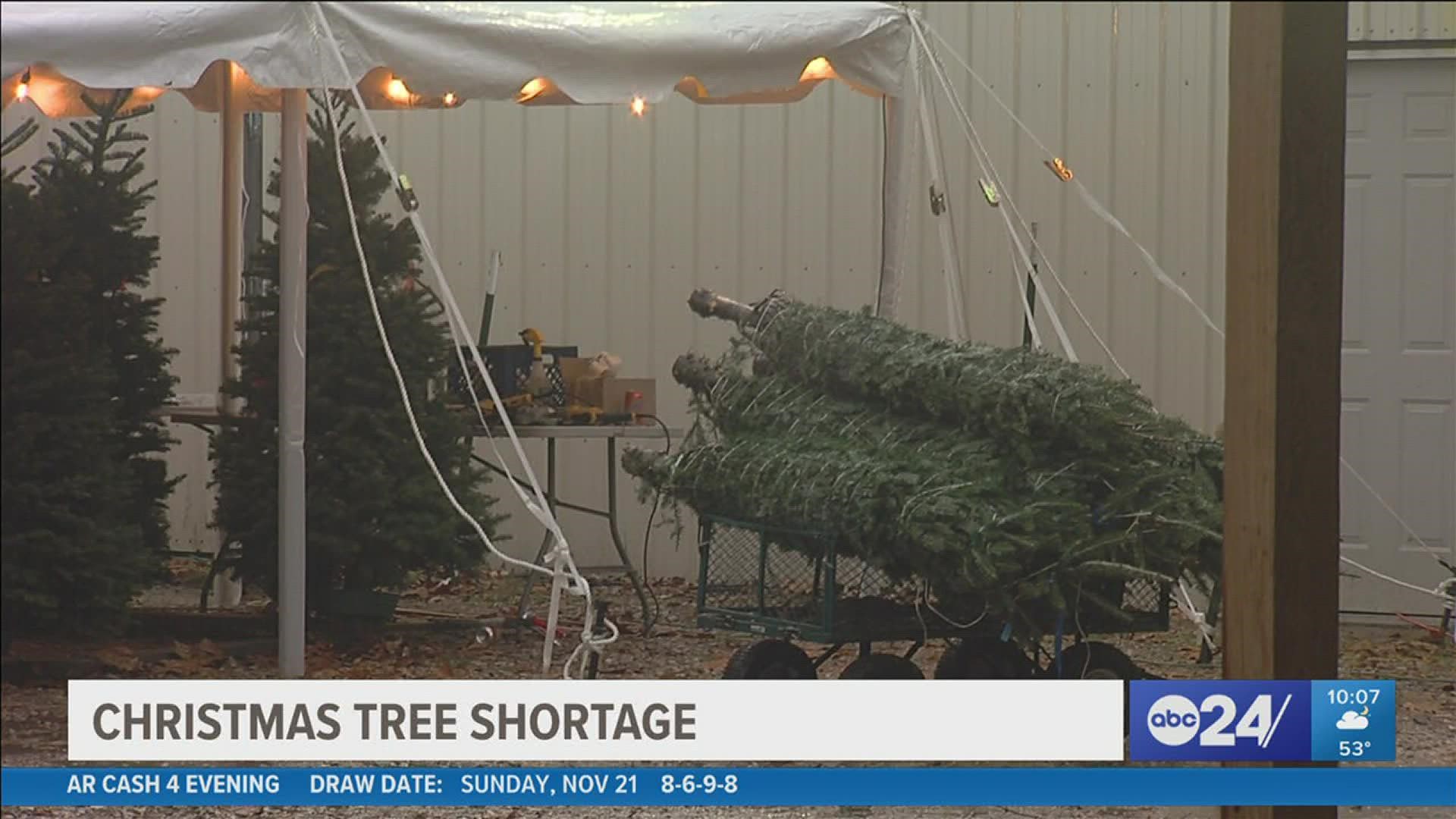 Supply chain issues coupled with effects from the 2008 Great Recession are leading to a shortage of both real and artificial Christmas trees this year.
