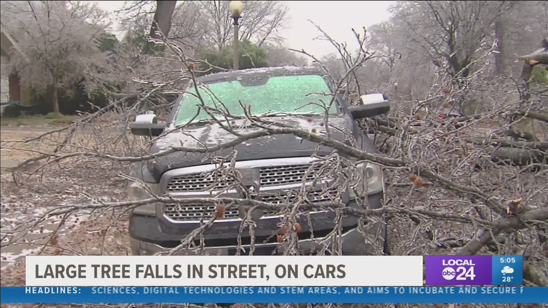 Ice weighed down trees and power lines, causing some to topple over Thursday morning.