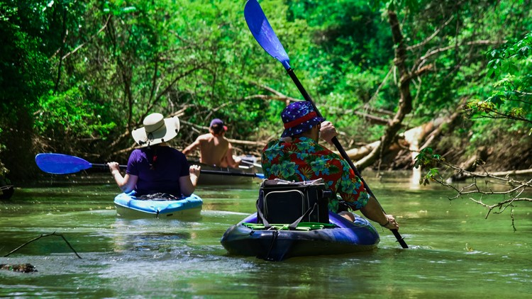 Want to learn to kayak? Tennessee is offering $15 classes later this month