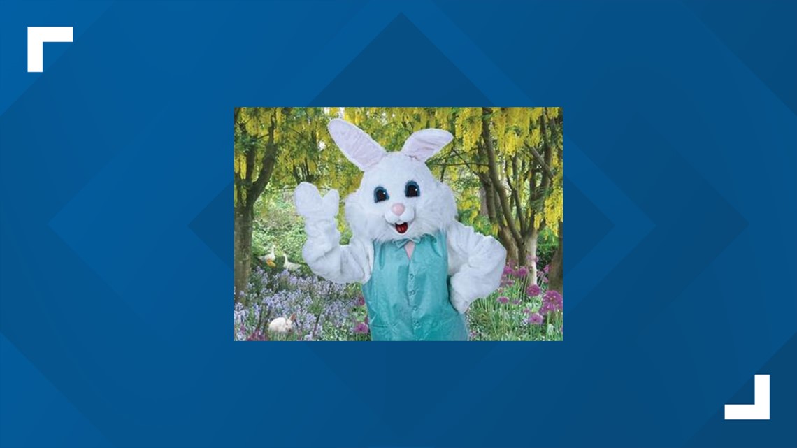 Free Photo With Easter Bunny At Bass Pro Shops 6823