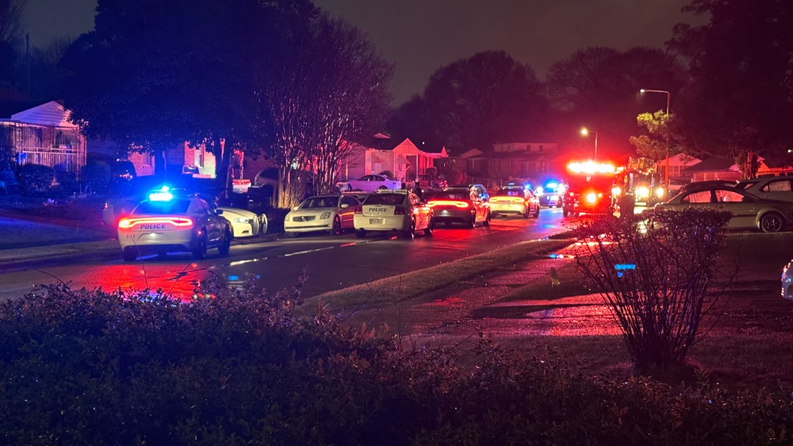 2 dead, 1 injured in shooting near South Memphis on Millard Road ...