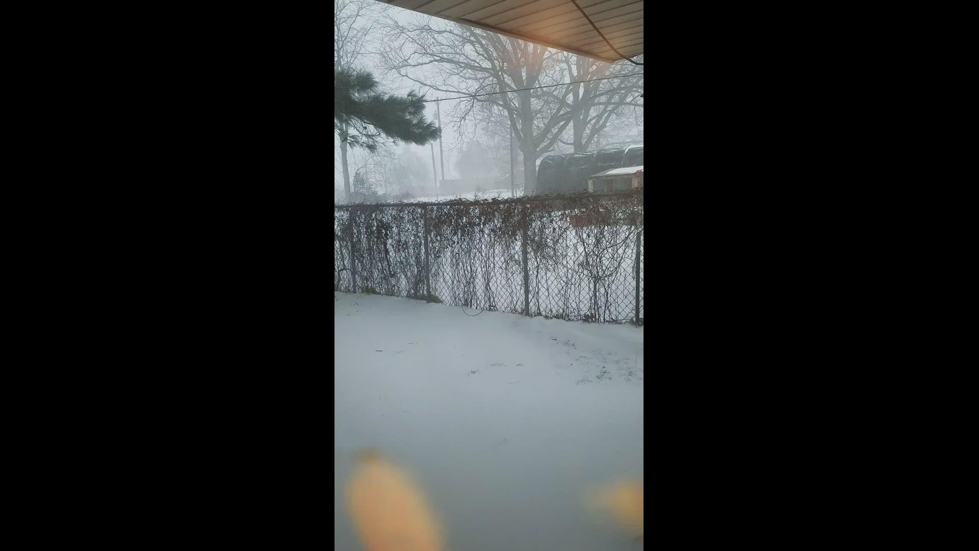 Snow Day Video in West Memphis, AR
Credit: Walter Voyles