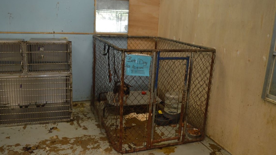 Delta Animal Shelter