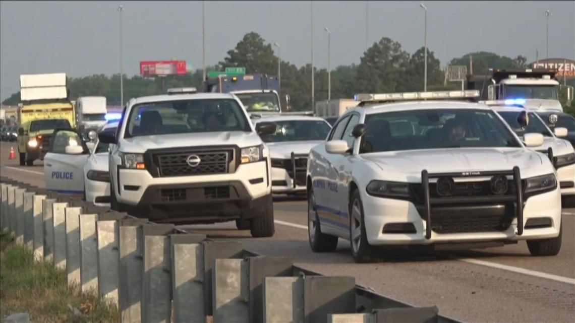 Interstate shooting has Memphians calling for gun reform - Vimarsana News