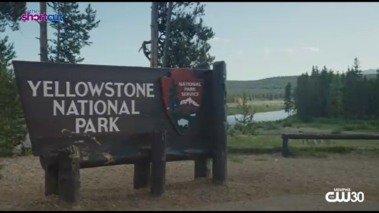 Good news! Yellowstone is back in business!