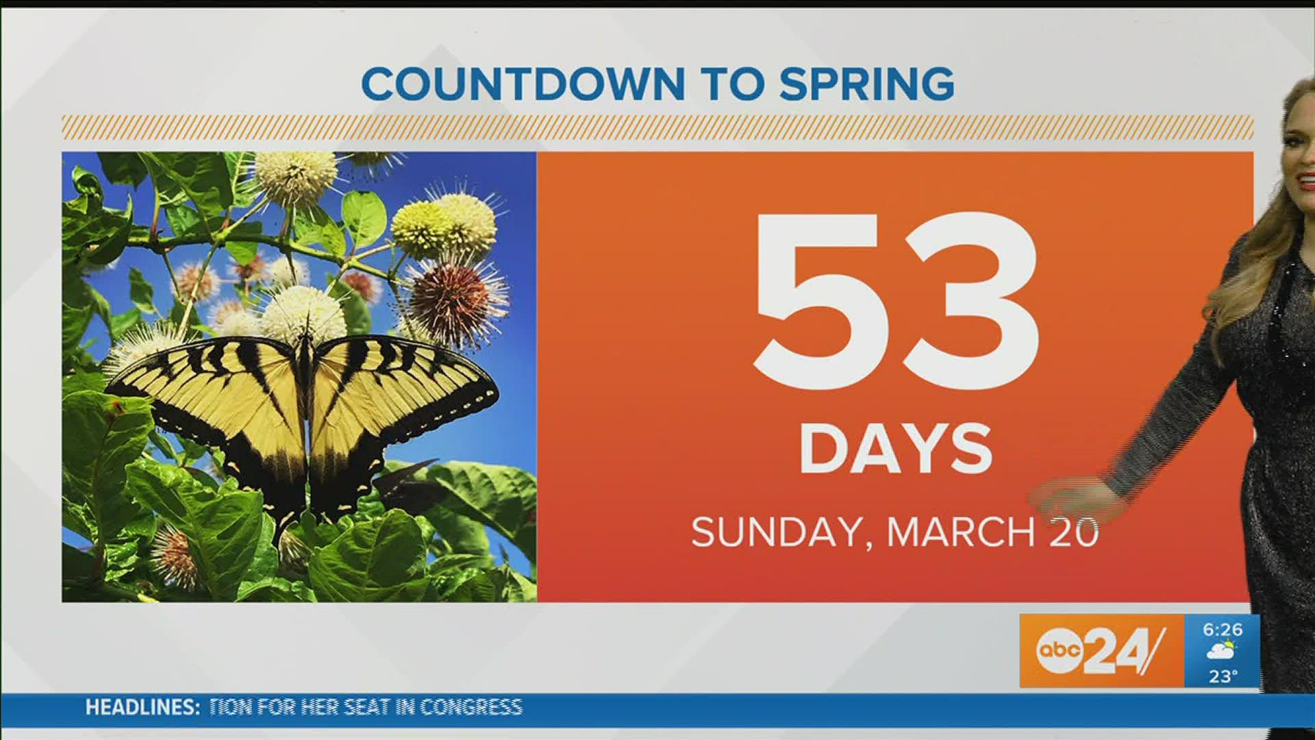 Temperatures remain below average this week but relief is coming this weekend. Remember, only 53 days until Spring!