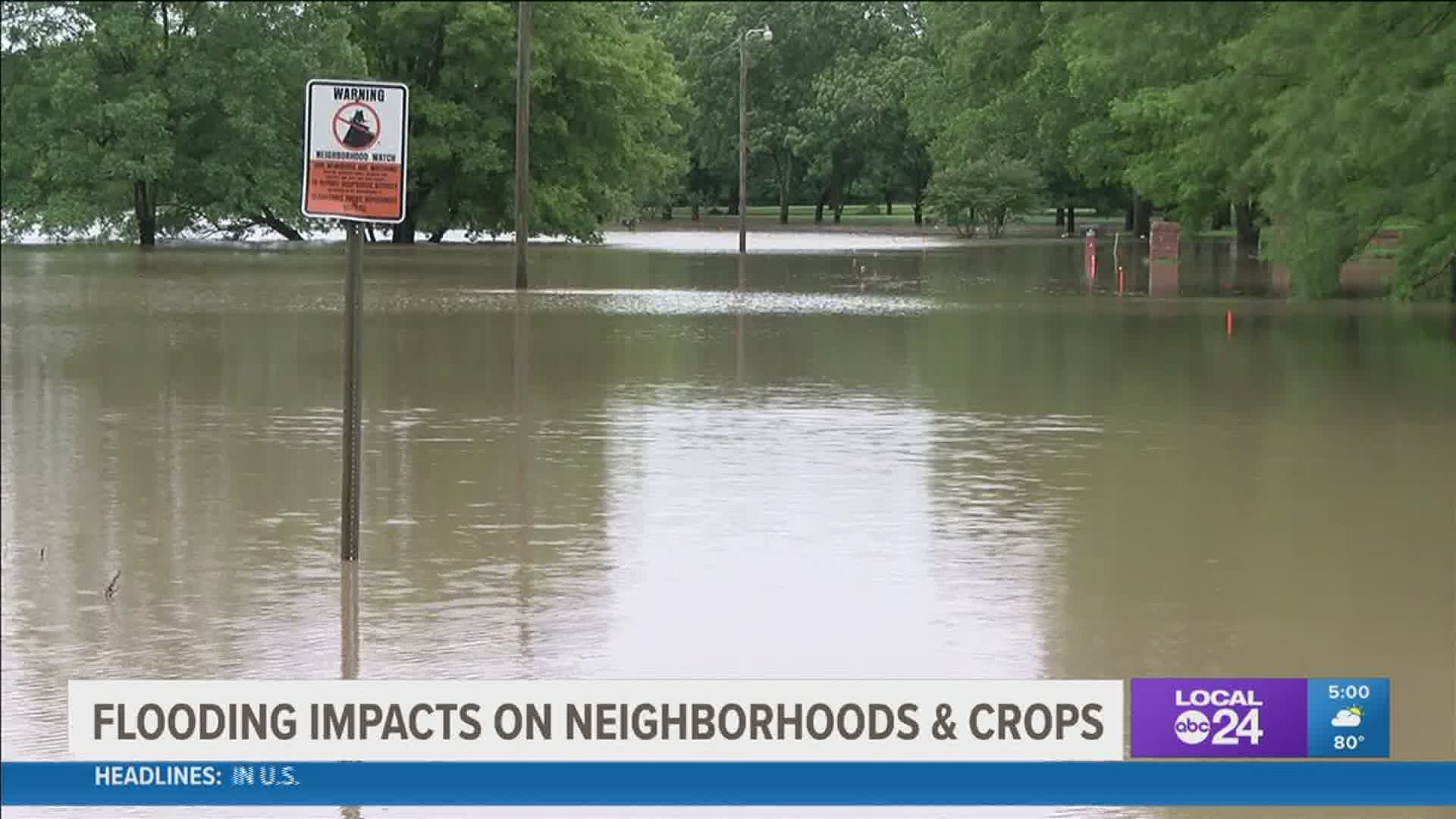 Coahoma County Extension fears heavy rainfall this week could ruin crops on tens of thousands of acres in the area and across the Mississippi Delta.