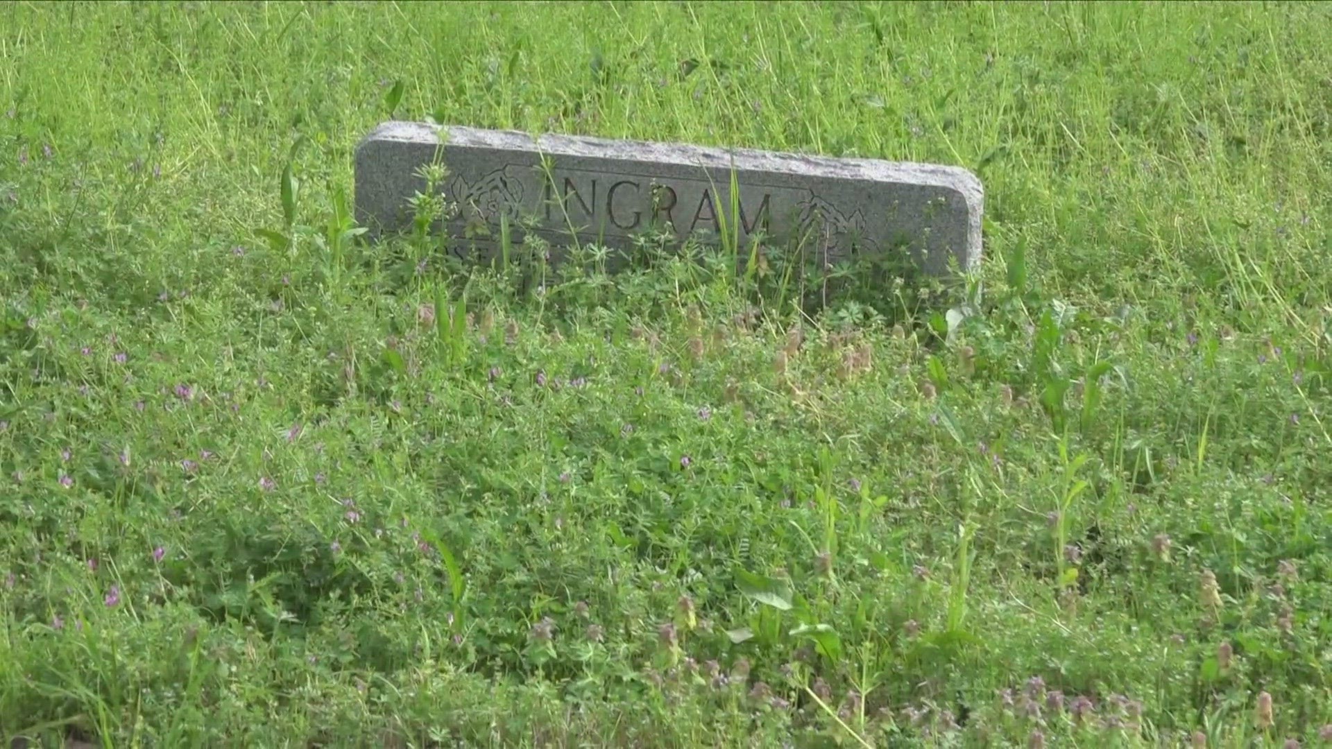 Hundreds of people have been buried at the Mount Carmel Hollywood Cemetery, yet you can only see about a quarter of the headstones due to overgrown grass.