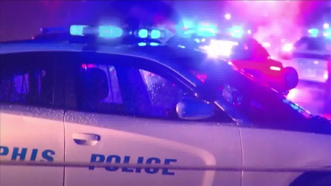 Woman almost kidnapped while walking her dog in broad daylight, MPD says - Vimarsana News