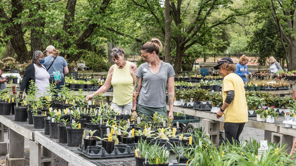 Memphis Botanic Garden annual Spring Plant Sale 2024