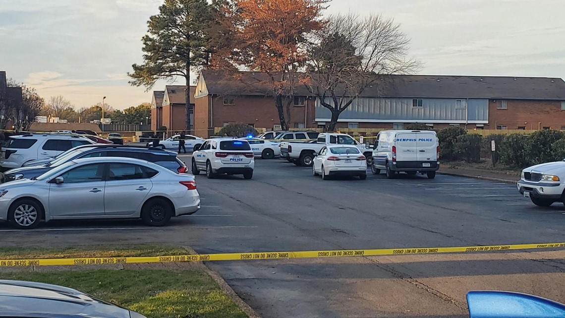One dead after apparent carjacking in Whitehaven - Vimarsana News