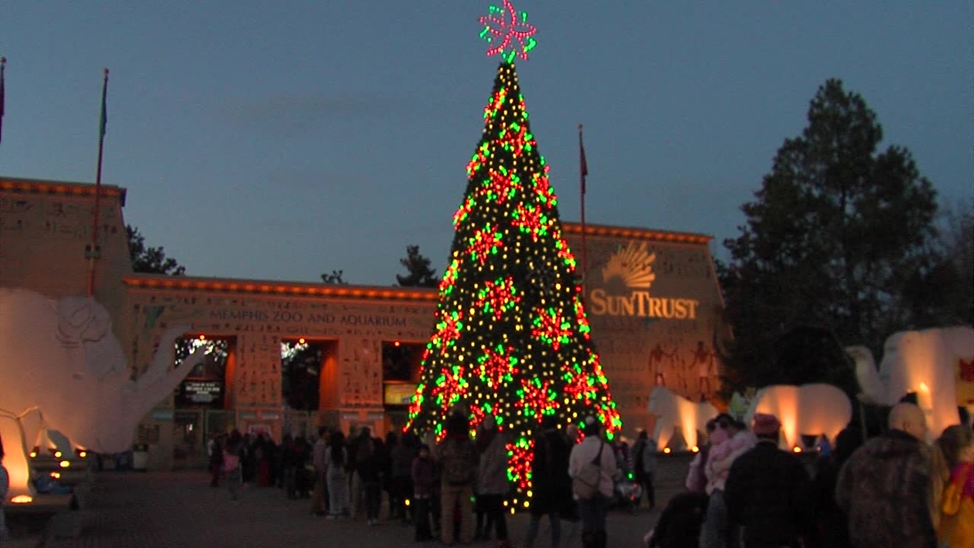 Vote for Memphis Zoo Lights for USA Today’s Best Zoo Lights