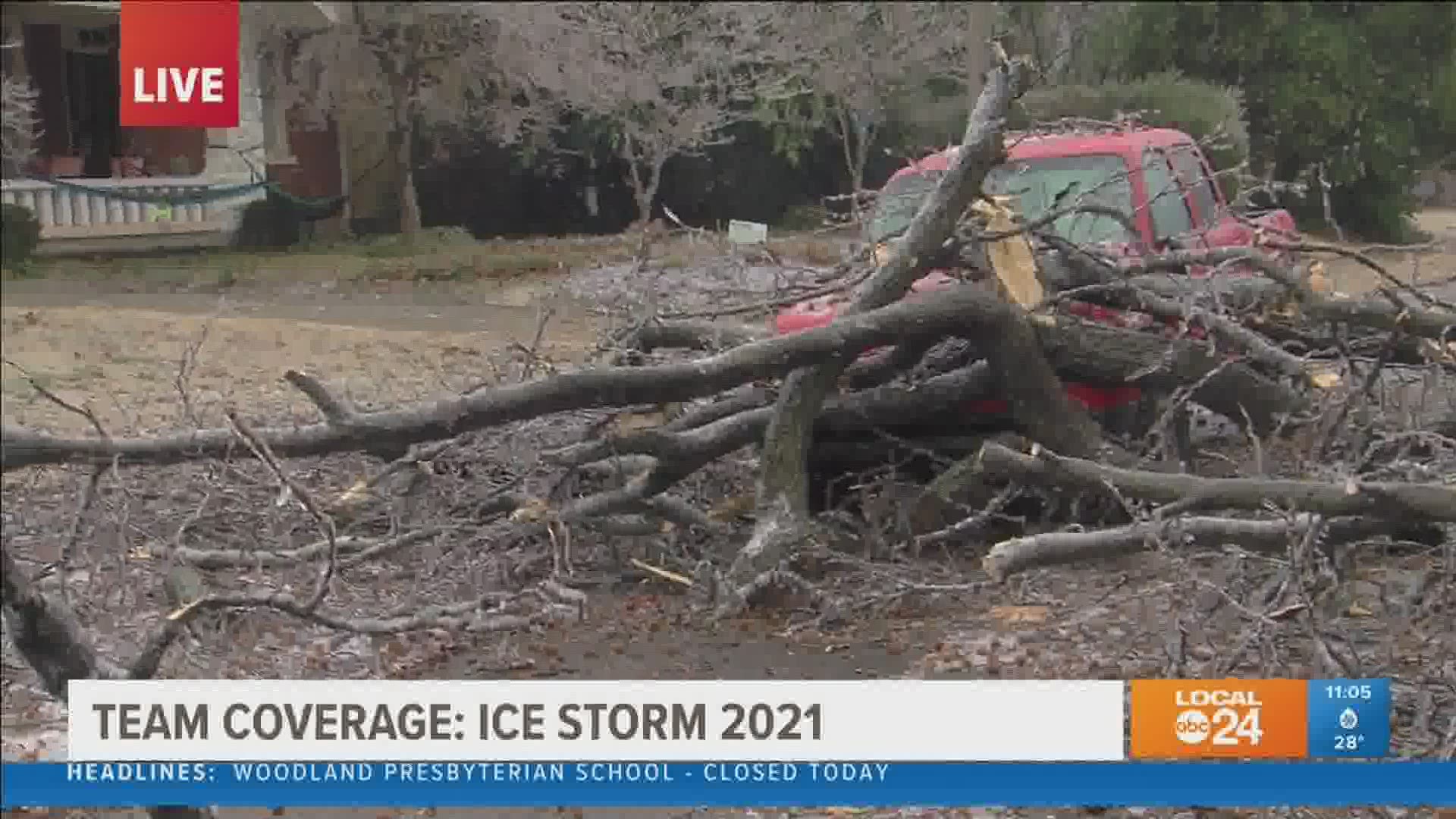 Ice weighed down trees and power lines, causing some to topple over Thursday morning.